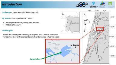 The Effect of Seagrass Recolonization on the Sediment Hg Vertical Profiles of a Recovering Coastal Lagoon